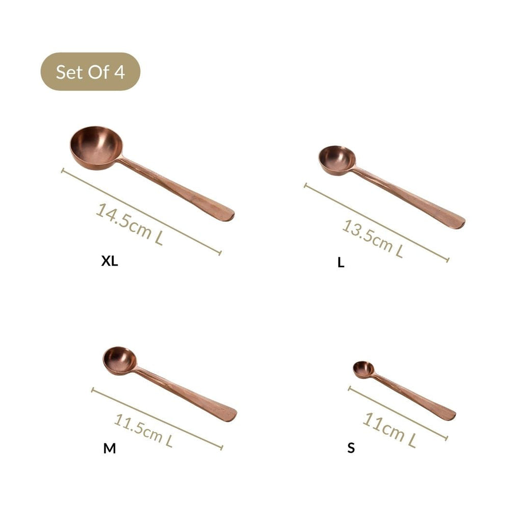 Rustic Cafecore Bronze Measuring Spoon Set Of 4
