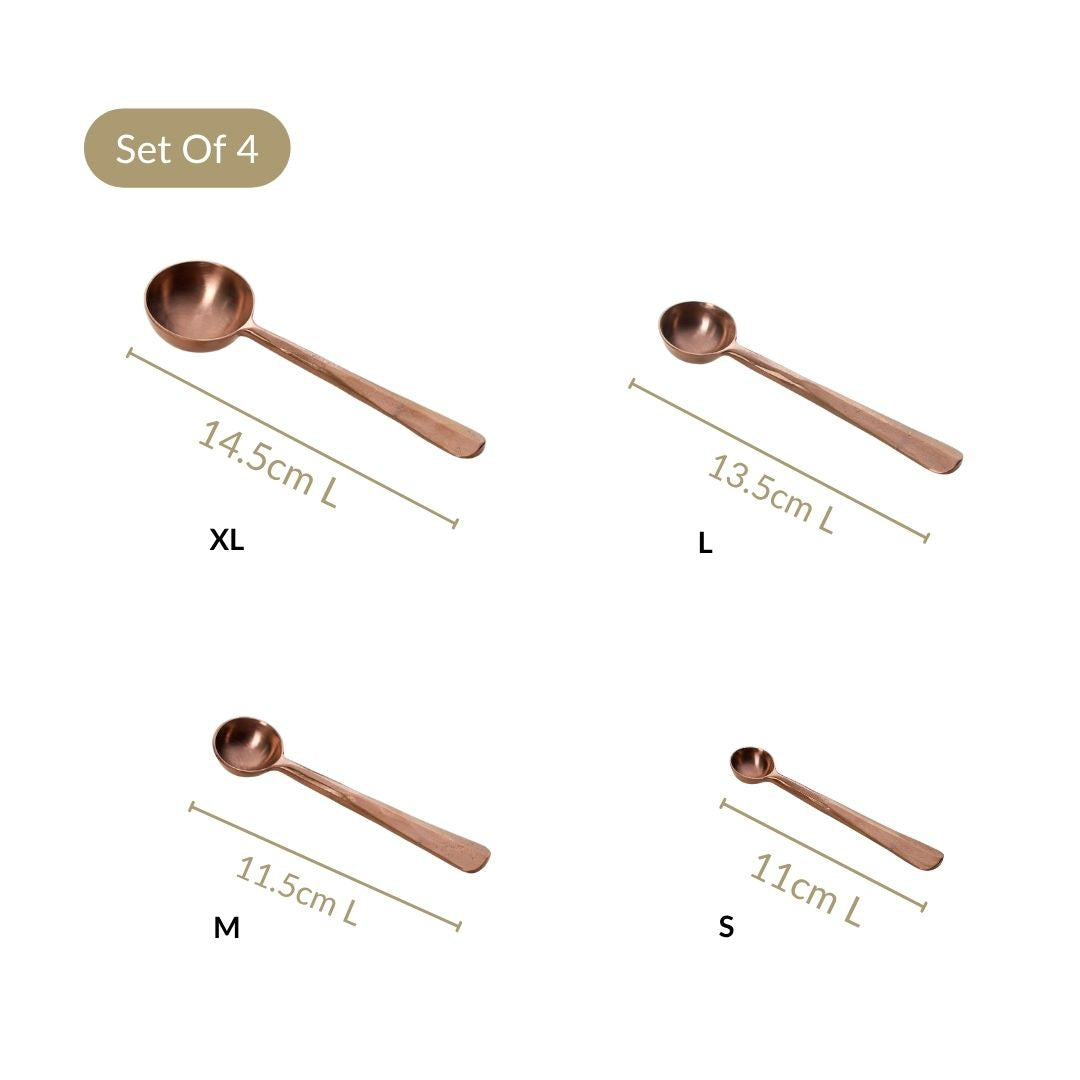 Rustic Cafecore Bronze Measuring Spoon Set Of 4
