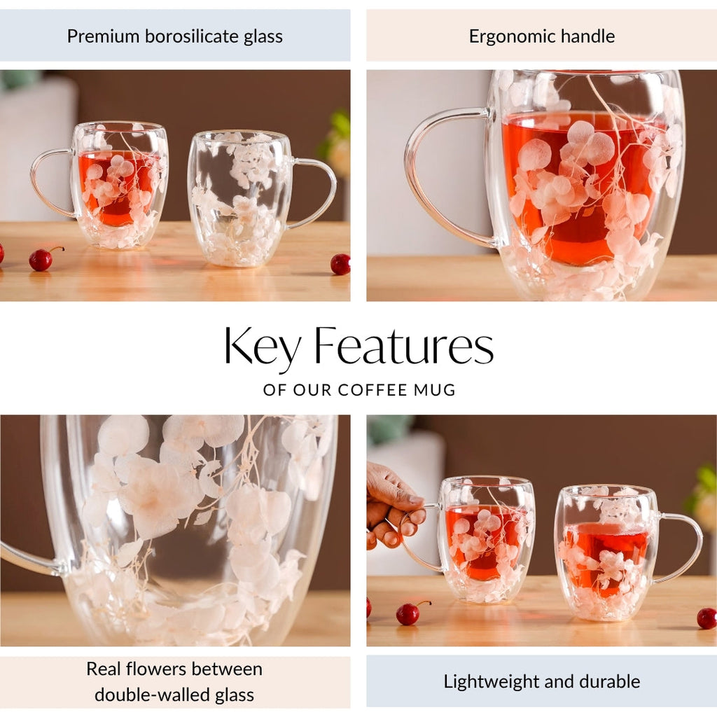 Dried Flowers Inside Double Glass Coffee Mug Set Of 2 350ml