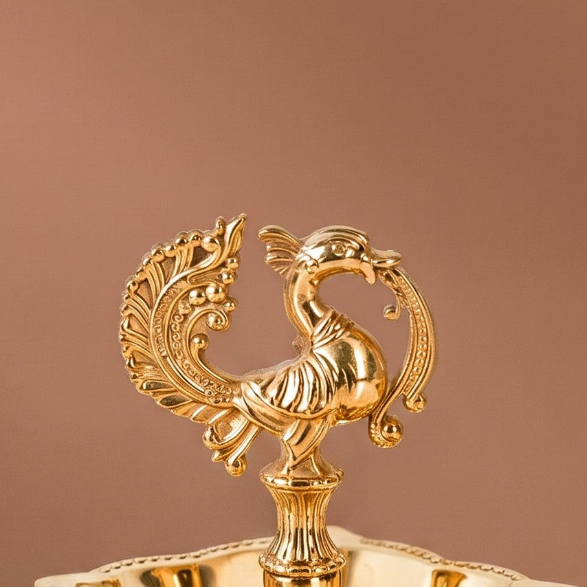 Ornate Peacock Pure Brass Panchmukhi Diya In Gift Box