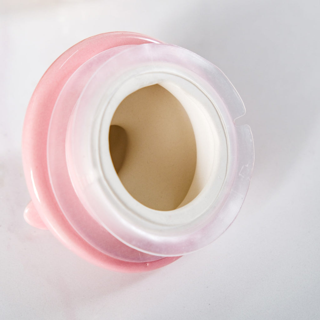 Set Of 2 Pink Bird Ceramic Lid Glass Storage Jar 1000ml